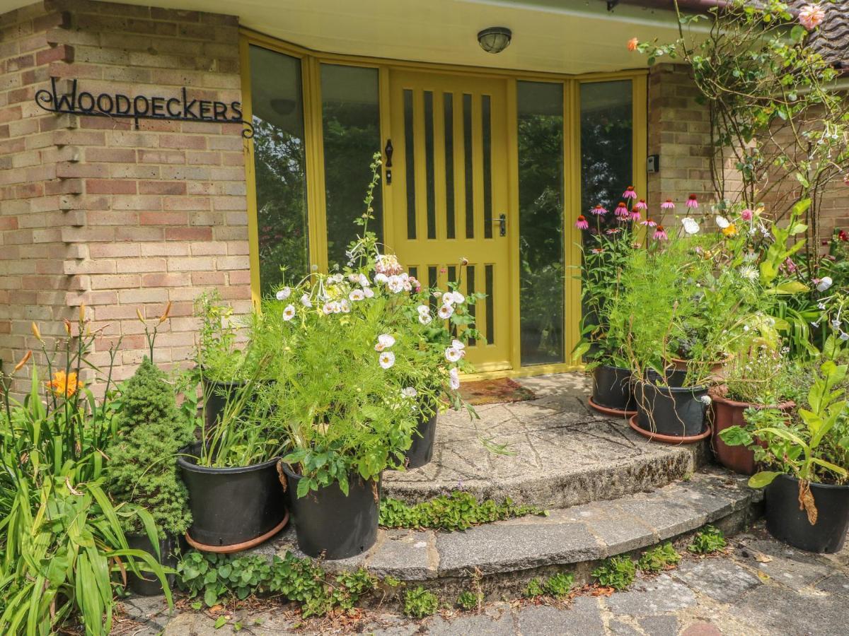 Villa Little Yaffle Dover Exterior foto